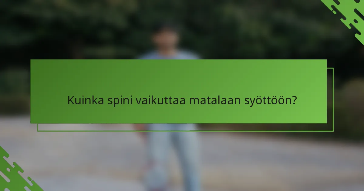 Kuinka spini vaikuttaa matalaan syöttöön?